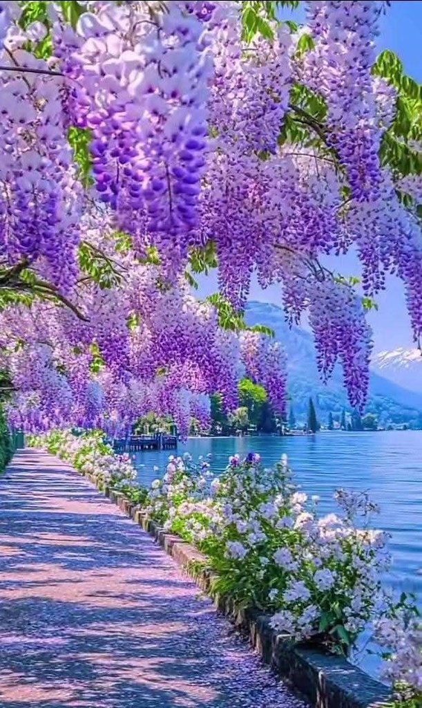   a a a a,    a  a a a, ...