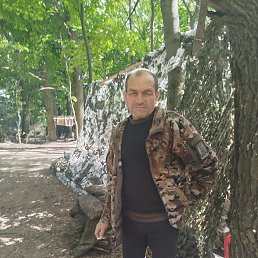 , 61, 