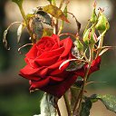 ���� Aleksandr, �����������, 64 ���� - ��������� 3 ���� 2025 � ������ ������ ��������