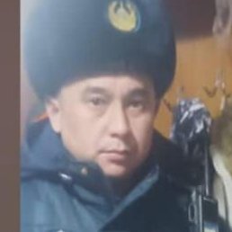 �����, ����, 37 ���