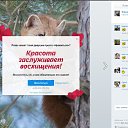 ���� !�!, ������, 46 ��� - ��������� 5 ������ 2025 � ������ ������ ��������