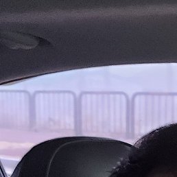 ������, �������, 56 ���