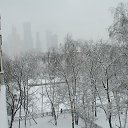 ���� ���������, ������ - ��������� 12 ������ 2024 � ������ ��������