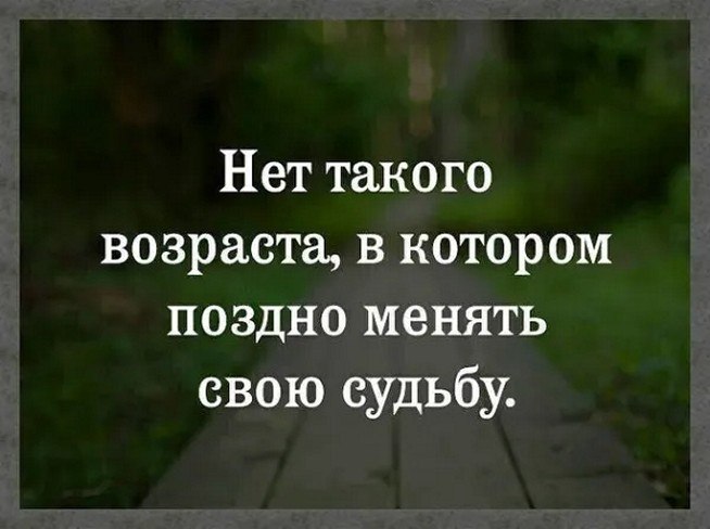 ☆ ☆ - 20  2025  20:43