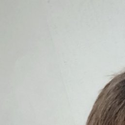 ������, �������, 19 ���