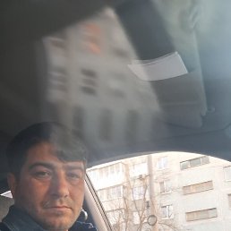 �����, ��������, 37 ���