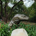 ���� ��������, �����, 45 ��� - ��������� 31 ���� 2025