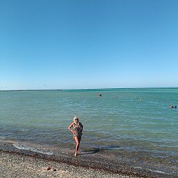 �����, ������, 40 ���