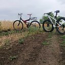 ���� �����, ���������, 39 ��� - ��������� 27 ������� 2024 � ������ ������������