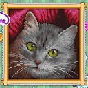 ���� ������, ������, 45 ��� - ��������� 5 ������ 2024 � ������ ���� ����������