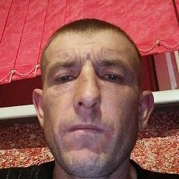 �������, �������, 41 ���