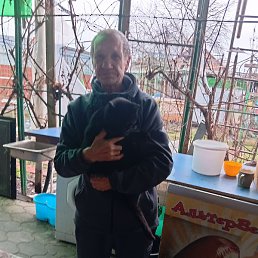 �����, ������, 61 ���