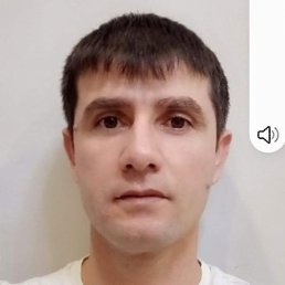 Salim, ������, 41 ���