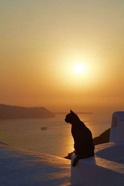 ������ ����. ��������� ������!!! ������� 1665 ������� - 3