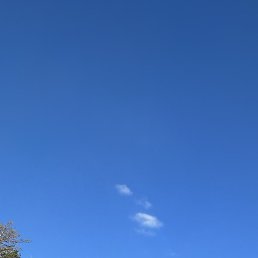 ����, ������, 38 ���