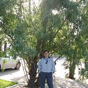 ���� ���������, �������������, 38 ��� - ��������� 2 ���� 2024 � ������ ���� ����������