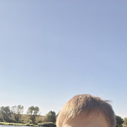 ��� ���, �������, 39 ���