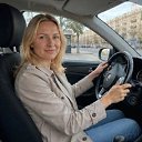 ���� �����, ���������, 42 ���� - ��������� 29 ���� 2026 � ������ ���� ����������