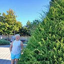 ���� �������, ������������, 67 ��� - ��������� 11 ������� 2025