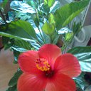 ���� ����, �������, 56 ��� - ��������� 23 ������ 2023 � ������ ���� ����������