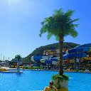 ���� �����, ��������, 52 ���� - ��������� 8 ������� 2025 � ������ ���� ����������