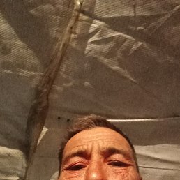, 49, 