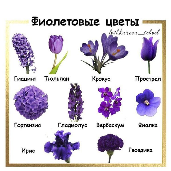 Сад можно сделать одноцветным на фоне зелени.Туй, хвойников, кустов и трав. Если брать разные ...