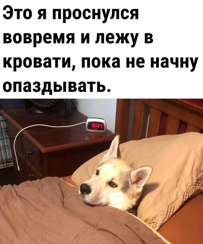 40  - 25  2024  12:14