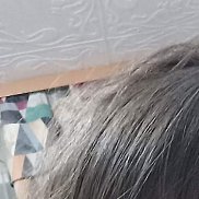 �������, 41 ���, ����