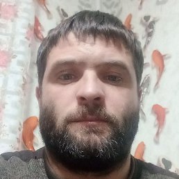 ����������, ��������, 39 ���