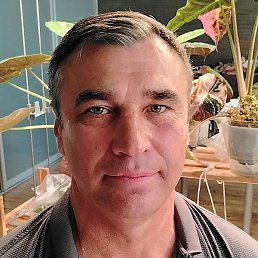 ���������, �������, 55 ���