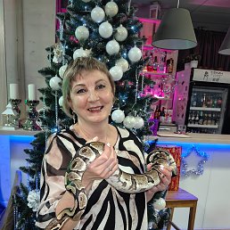 ���� ����, �����������, 52 ���� - ��������� 27 ���� 2025