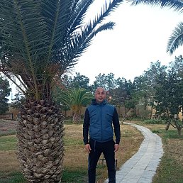 ������, ����, 40 ���