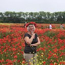 ���� ��������, �����, 67 ��� - ��������� 10 ���� 2025 � ������ ���� ����������