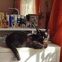 ���� �����, ����������� - ��������� 25 ������ 2025 � ������ ������ ��������