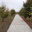 ���� �������, ������������, 51 ��� - ��������� 20 �������� 2025 � ������ ��������