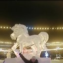 ���� ��������, ���������, 50 ��� - ��������� 4 ������ 2026 � ������ ���� ����������