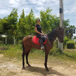 ���� �������, ����������� - ��������� 18 ������ 2026