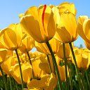 ���� ��������, �����, 46 ��� - ��������� 15 ���� 2025 � ������ ���� ����������