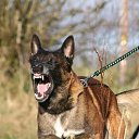  Kristal Metnem Torrente,  -  26  2025    