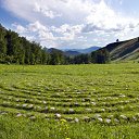 ���� ����, ������ - ��������� 9 ������� 2025 � ������ ������ ��������