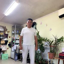 �����, ���������, 61 ���