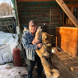 ����, 66 ���, ���������