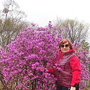 ���� �������, ������������ - ��������� 14 ��� 2025 � ������ ���� ����������