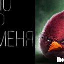 ���� ��������, �������, 86 ��� - ��������� 23 ������ 2024 � ������ ���� ����������