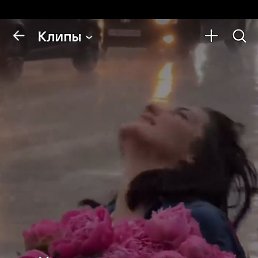 ���������, ���������