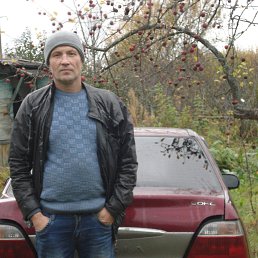 , 53, 