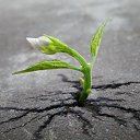 ���� �����, ������, 43 ���� - ��������� 4 ������� 2025 � ������ ���� ����������