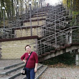 ���� �����, ���������, 56 ��� - ��������� 29 ������ 2024