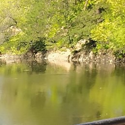 ������, ���������, 47 ���